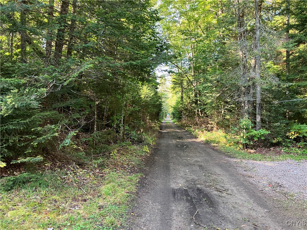 82 Stock Lane Inlet, NY 13360 - Photo 7 of 34 Road Looking down Stock lane