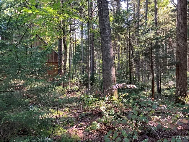 $87,500 | 82 Stock Lane, Inlet, NY 13360