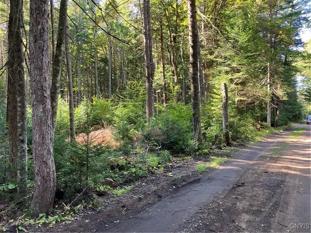 $87,500 | 82 Stock Lane, Inlet, NY 13360