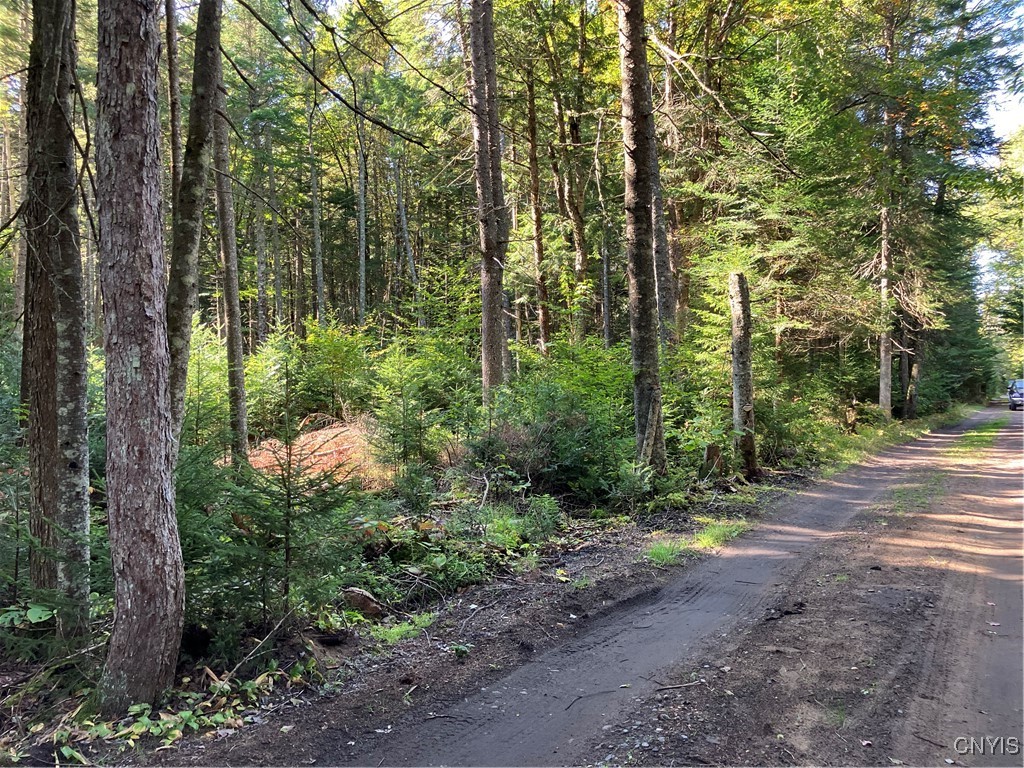 82 Stock Lane Inlet, NY 13360 - Photo 10 of 34 Property on left side of camp looking to towards c