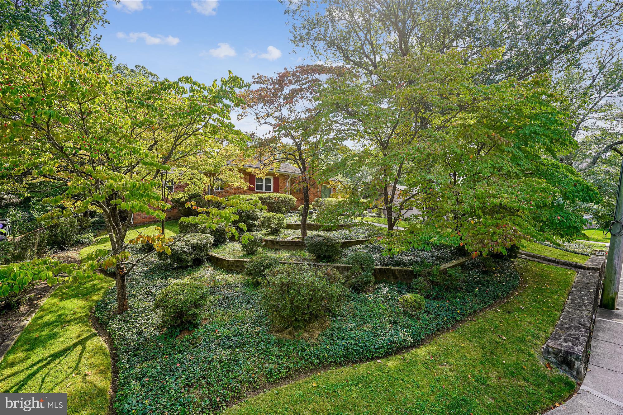 4528 North Dittmar Road Arlington, VA 22207 - Photo 3 of 20