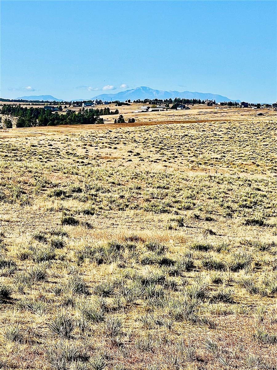 9541 North Delbert Road Parker, CO 80138 - Photo 3 of 5 Gallery Image 3