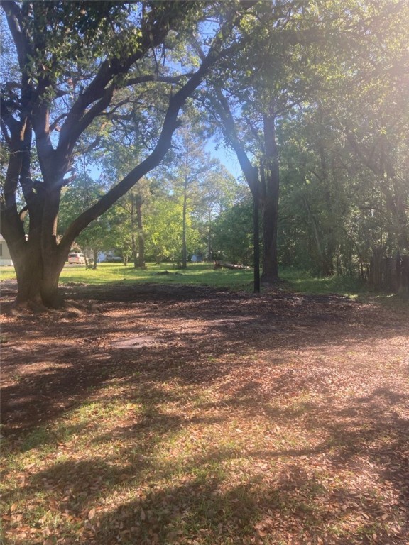 15713 Sears Road Jacksonville, FL 32218 - Photo 3 of 4 Gallery Image 3