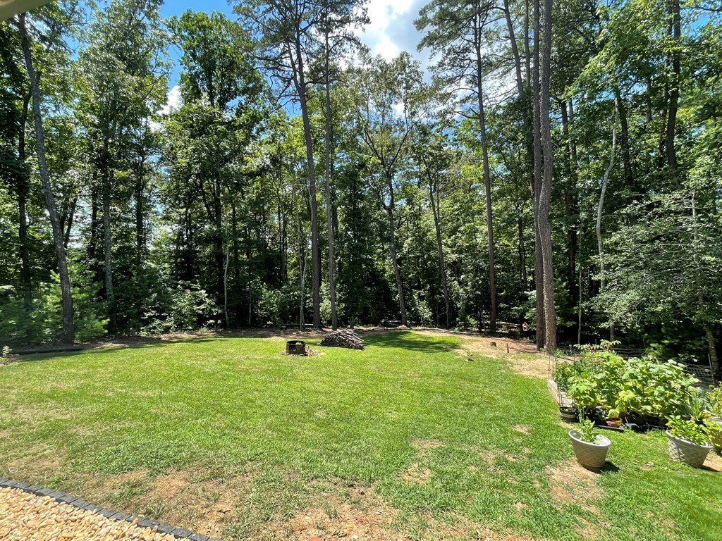 436 Bear Paw Church Road Murphy, NC 28906 - Photo 9 of 39 Gallery Image 9
