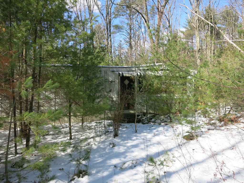 Gallery Image 7