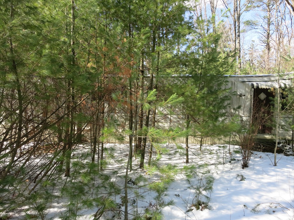 262 Old Warren Road Palmer, MA 01069 - Photo 8 of 12 Gallery Image 8