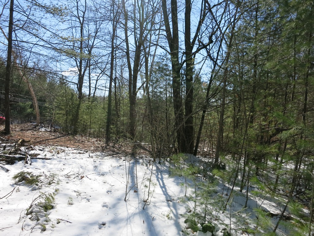 262 Old Warren Road Palmer, MA 01069 - Photo 10 of 12 Gallery Image 10