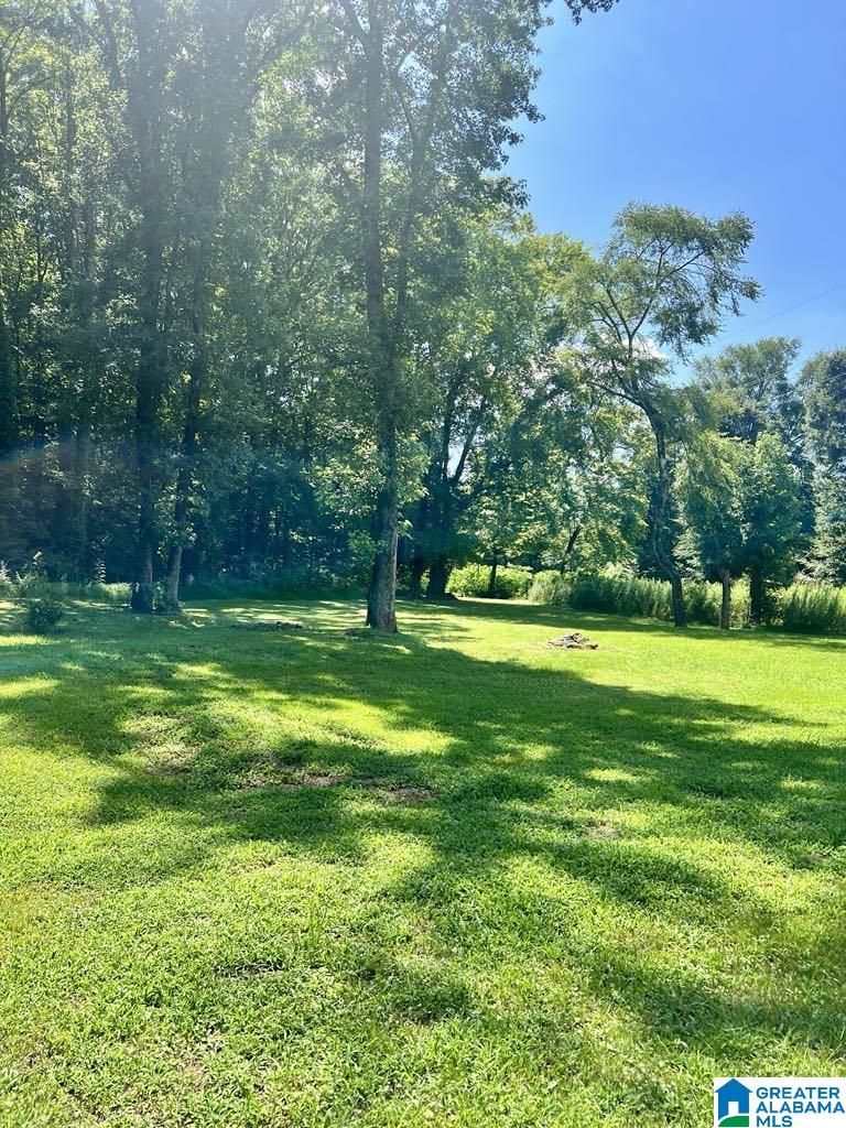 478 Ledbetter Road Anniston, AL 36201 - Photo 19 of 20