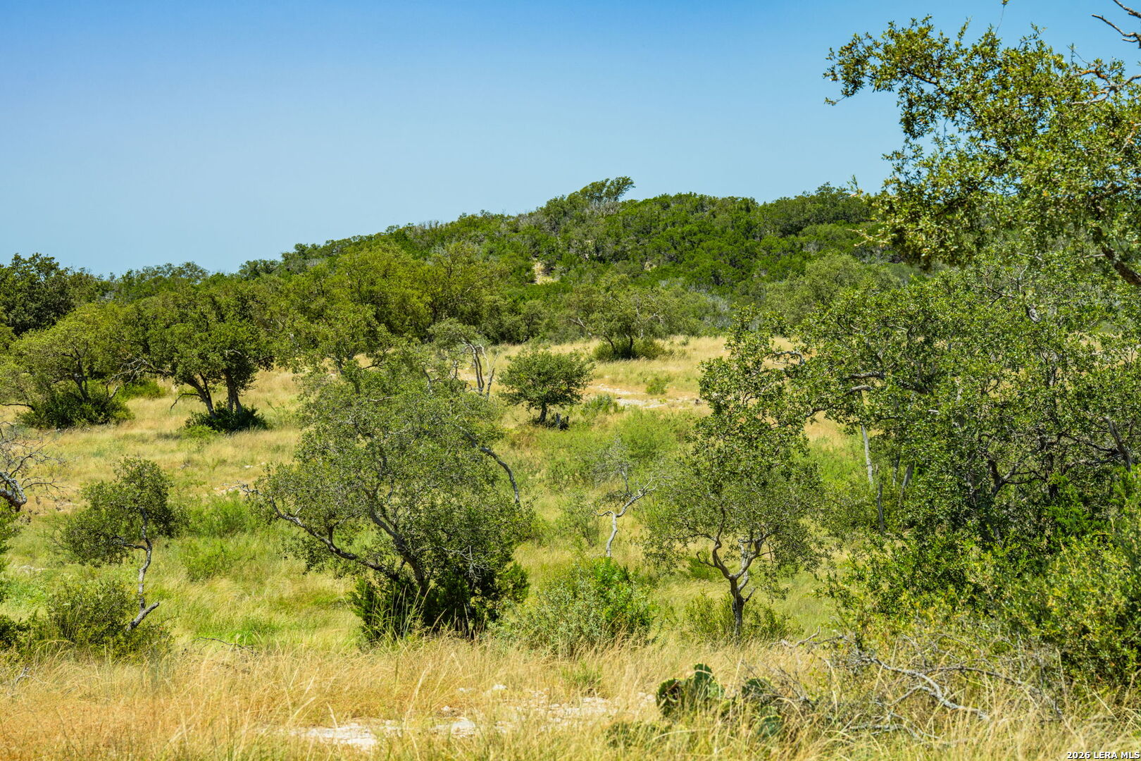 0 Cr 140 Junction, TX 76849 - Photo 17 of 27 a view of a bunch of trees and bushes