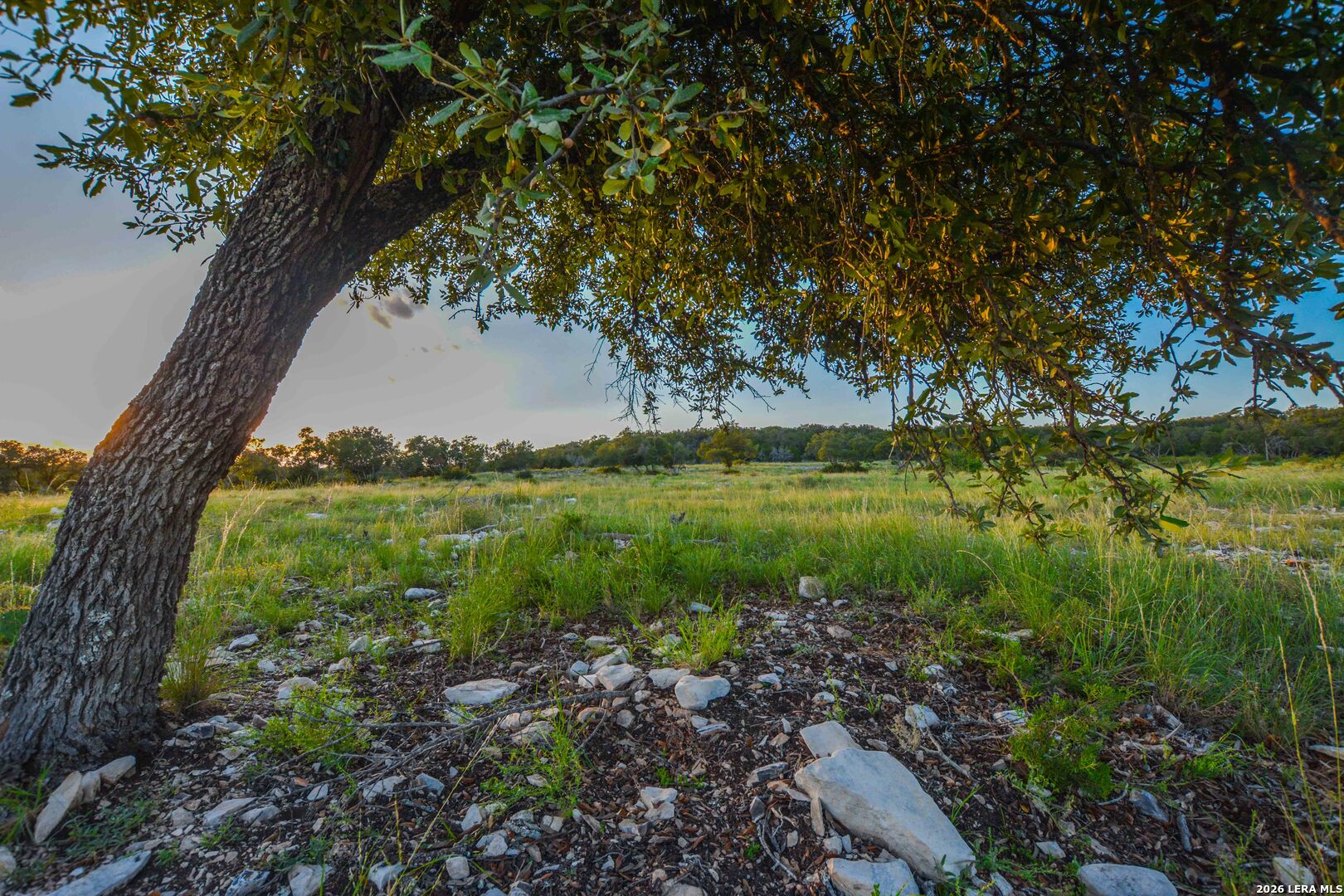 0 Cr 140 Junction, TX 76849 - Photo 2 of 27 a view of a garden with a tree