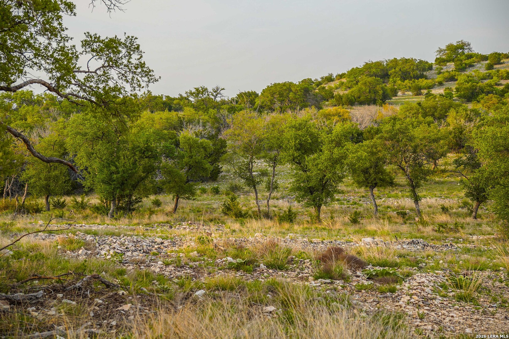 0 Cr 140 Junction, TX 76849 - Photo 22 of 27 a view of a yard with a tree