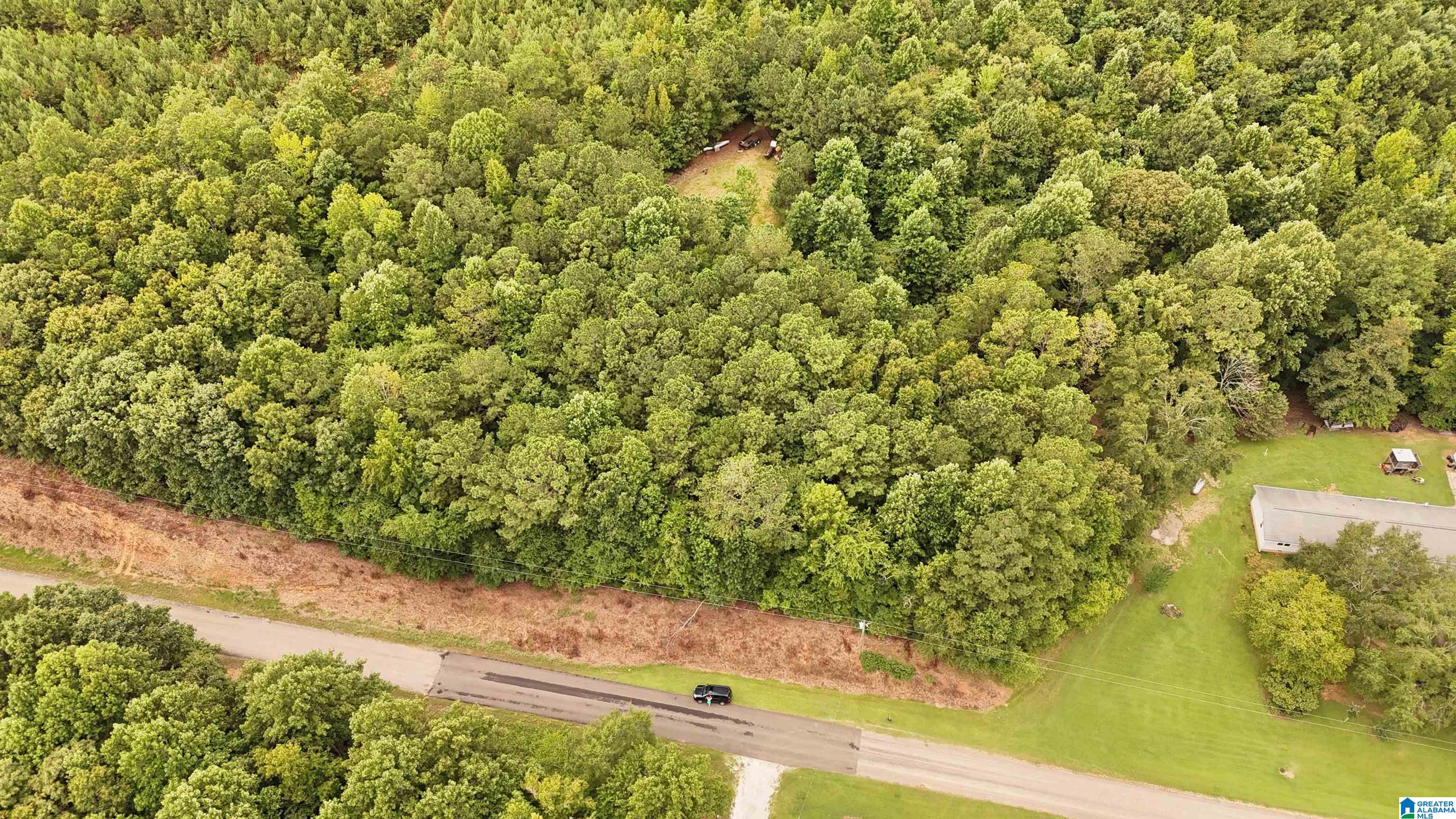 0 County Road 33, Unit METES AND BOUNDS Fruithurst, AL 36262 - Photo 4 of 7
