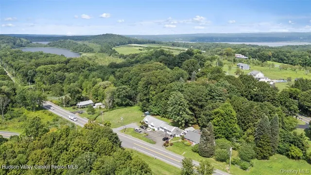 a view of a city with lush green forest