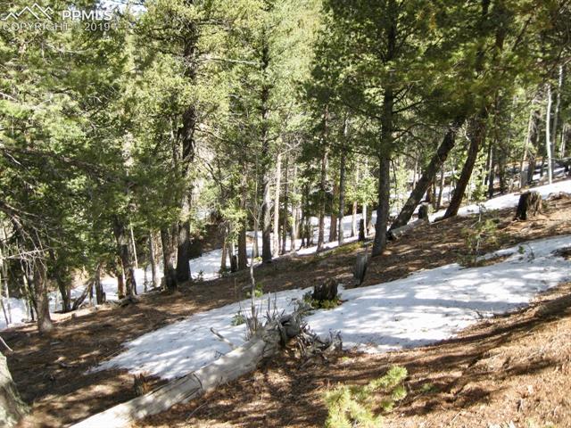 659 Paradiso Road Divide, CO 80814 - Photo 3 of 13