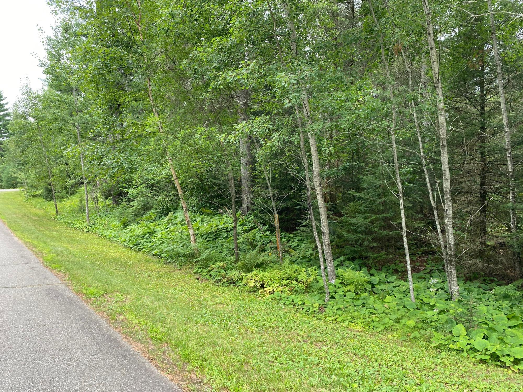 14 Ryan Rpds Bluff Rhinelander, WI 54501 - Photo 6 of 8 Gallery Image 6