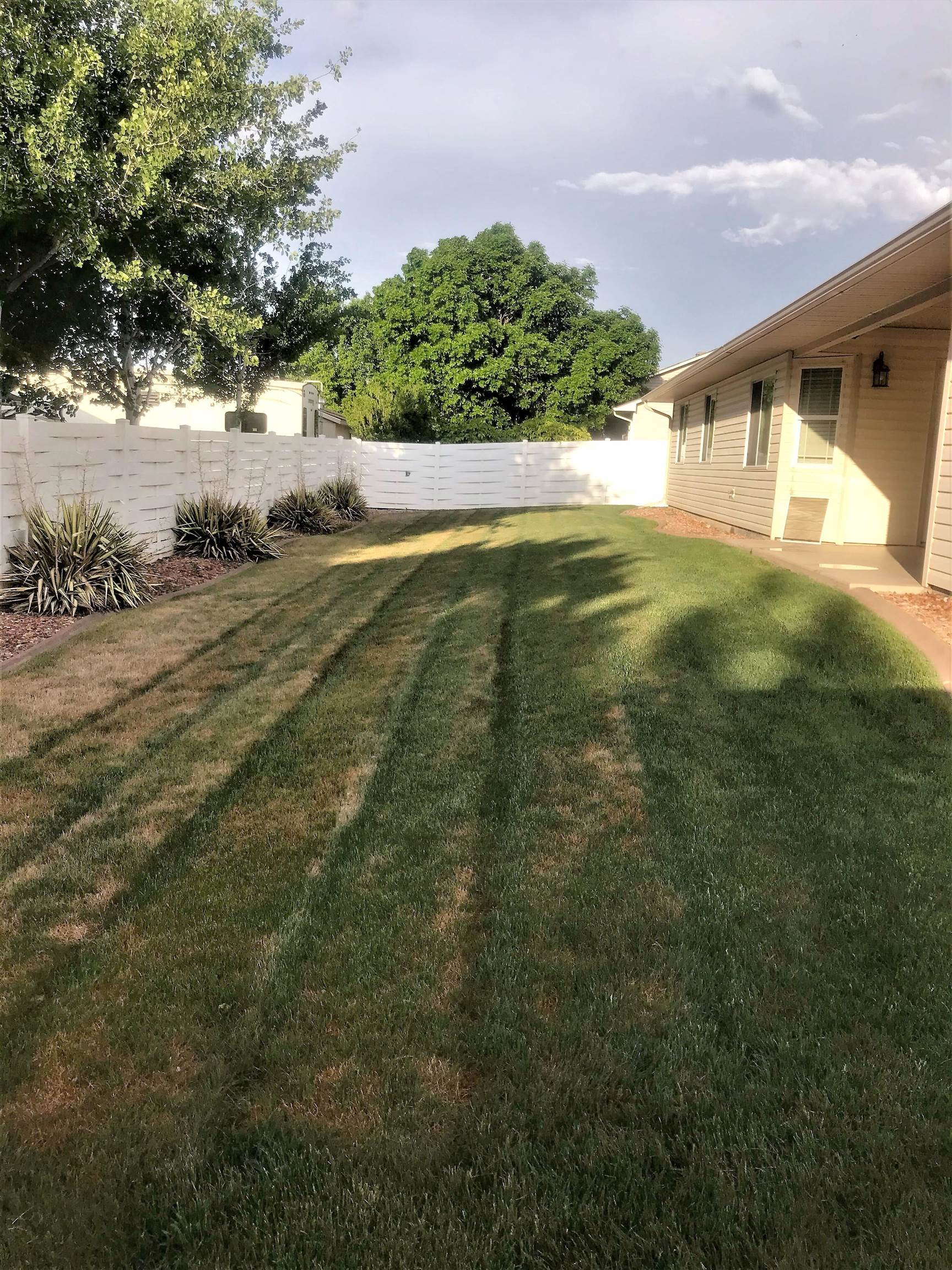 210 Limestone Circle Grand Junction, CO 81503 - Photo 31 of 32 a view of a yard