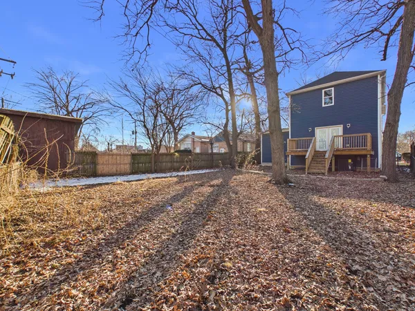 a view of a yard with plants and trees