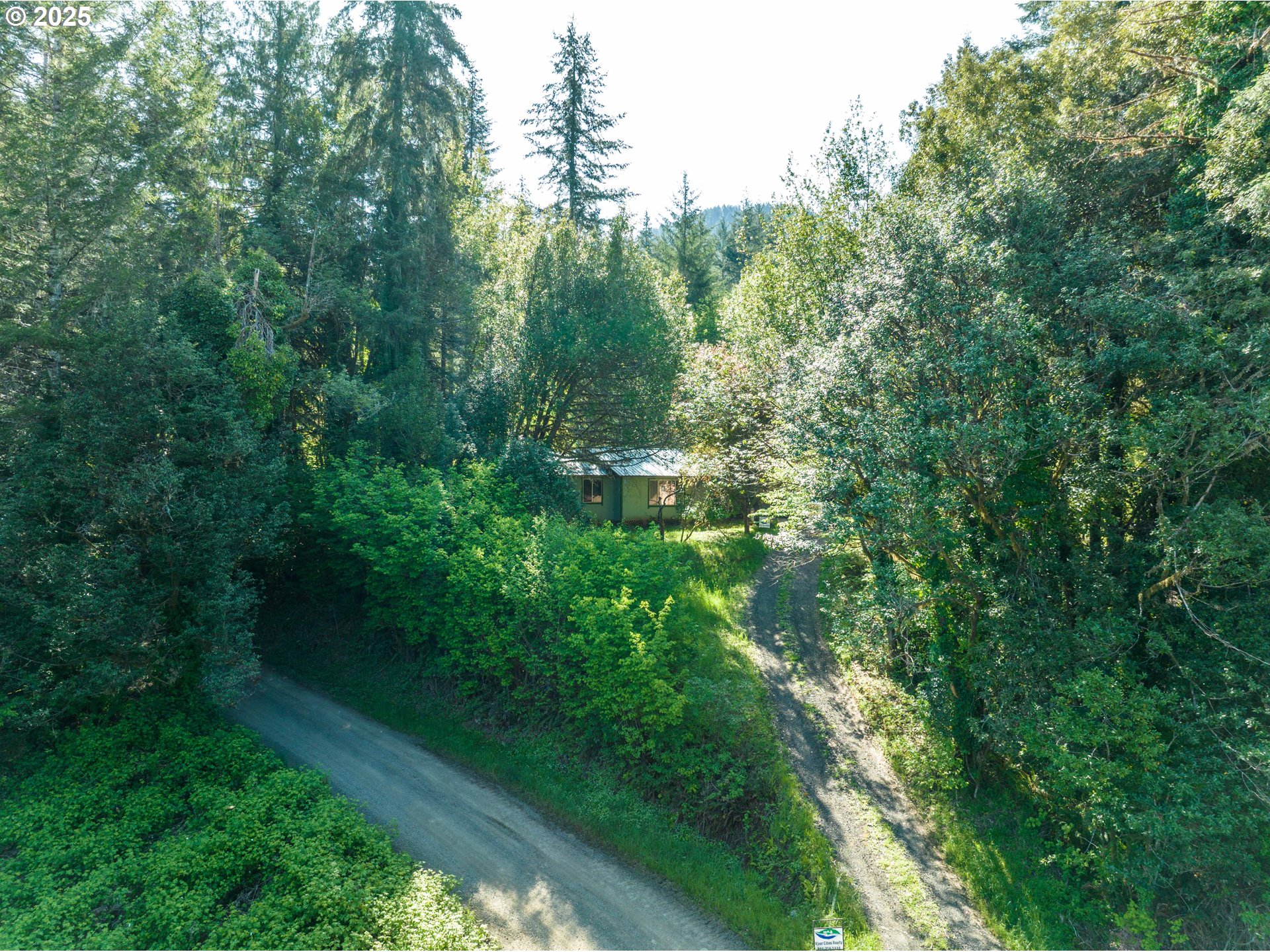 56010 Gold Brick Road Myrtle Point, OR 97458 - Photo 11 of 27 a view of a lush green forest with lots of trees