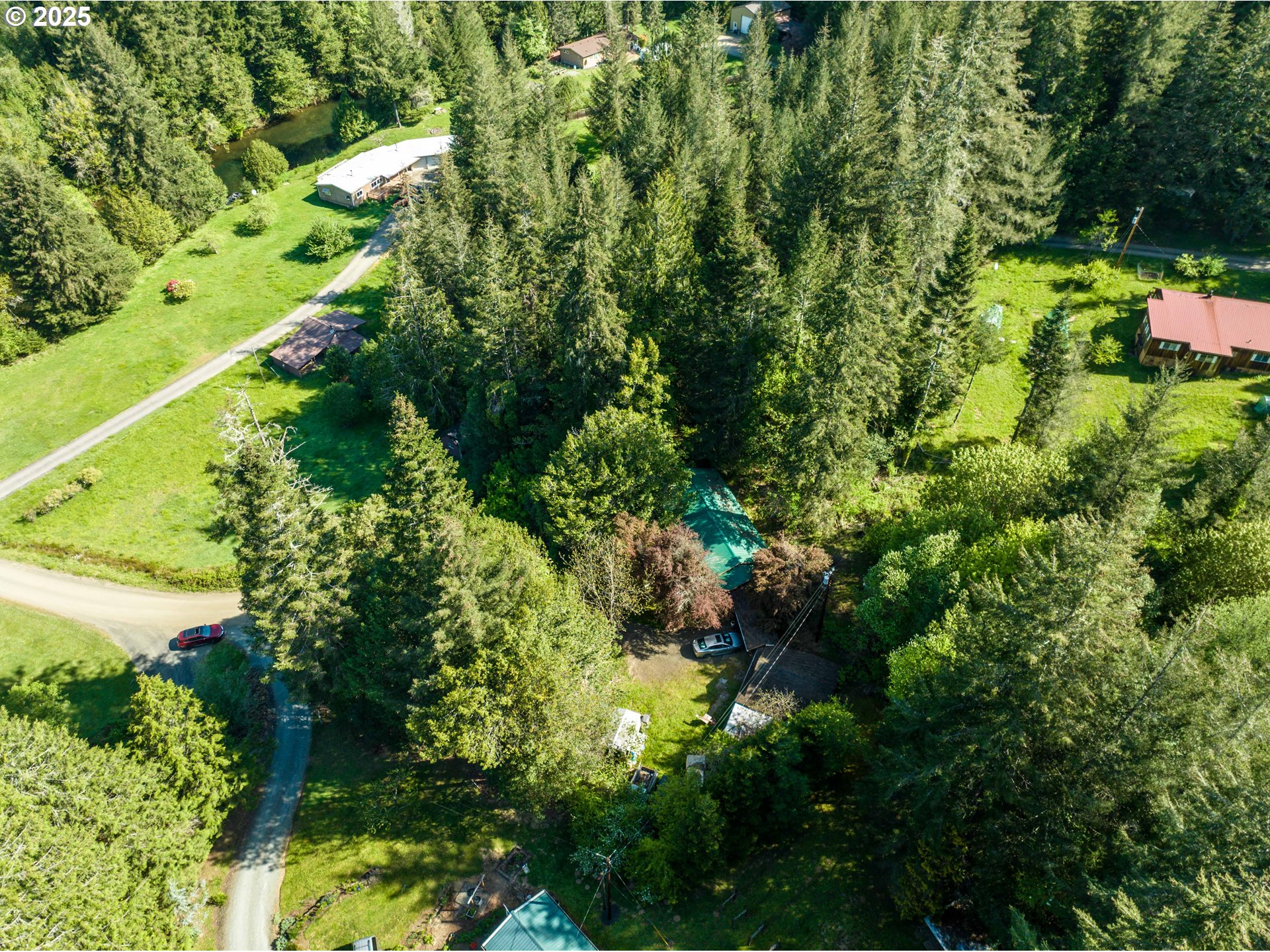 56010 Gold Brick Road Myrtle Point, OR 97458 - Photo 12 of 27 a view of a garden
