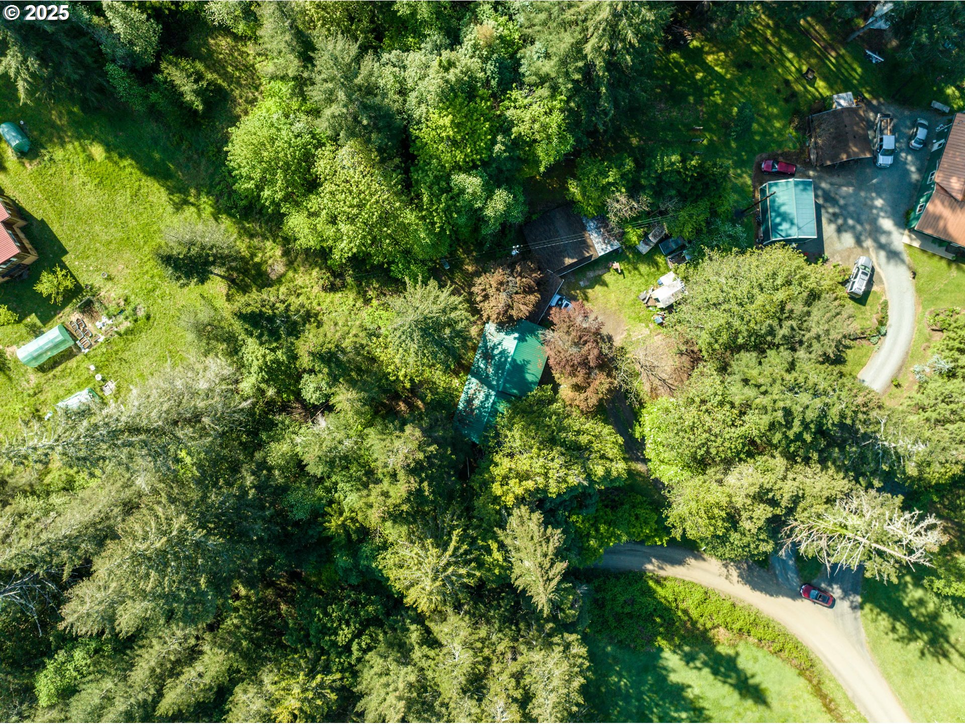 56010 Gold Brick Road Myrtle Point, OR 97458 - Photo 14 of 27 a view of a garden with a tree