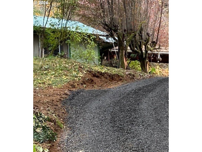 56010 Gold Brick Road Myrtle Point, OR 97458 - Photo 2 of 27 a view of a yard with plants and trees