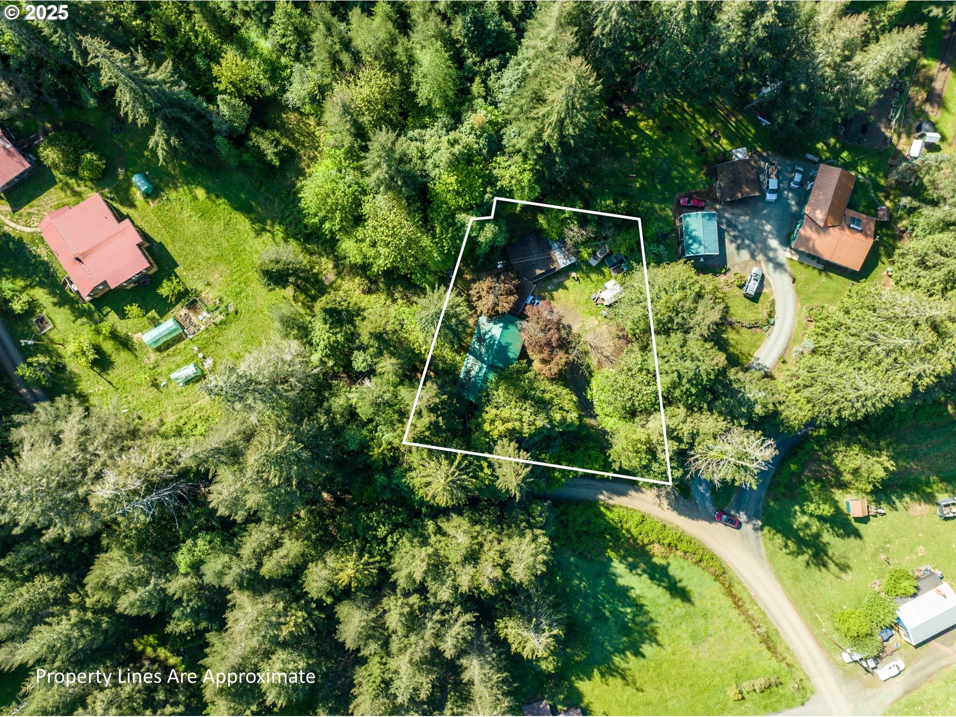 56010 Gold Brick Road Myrtle Point, OR 97458 - Photo 6 of 27 a backyard of a house with lots of green space