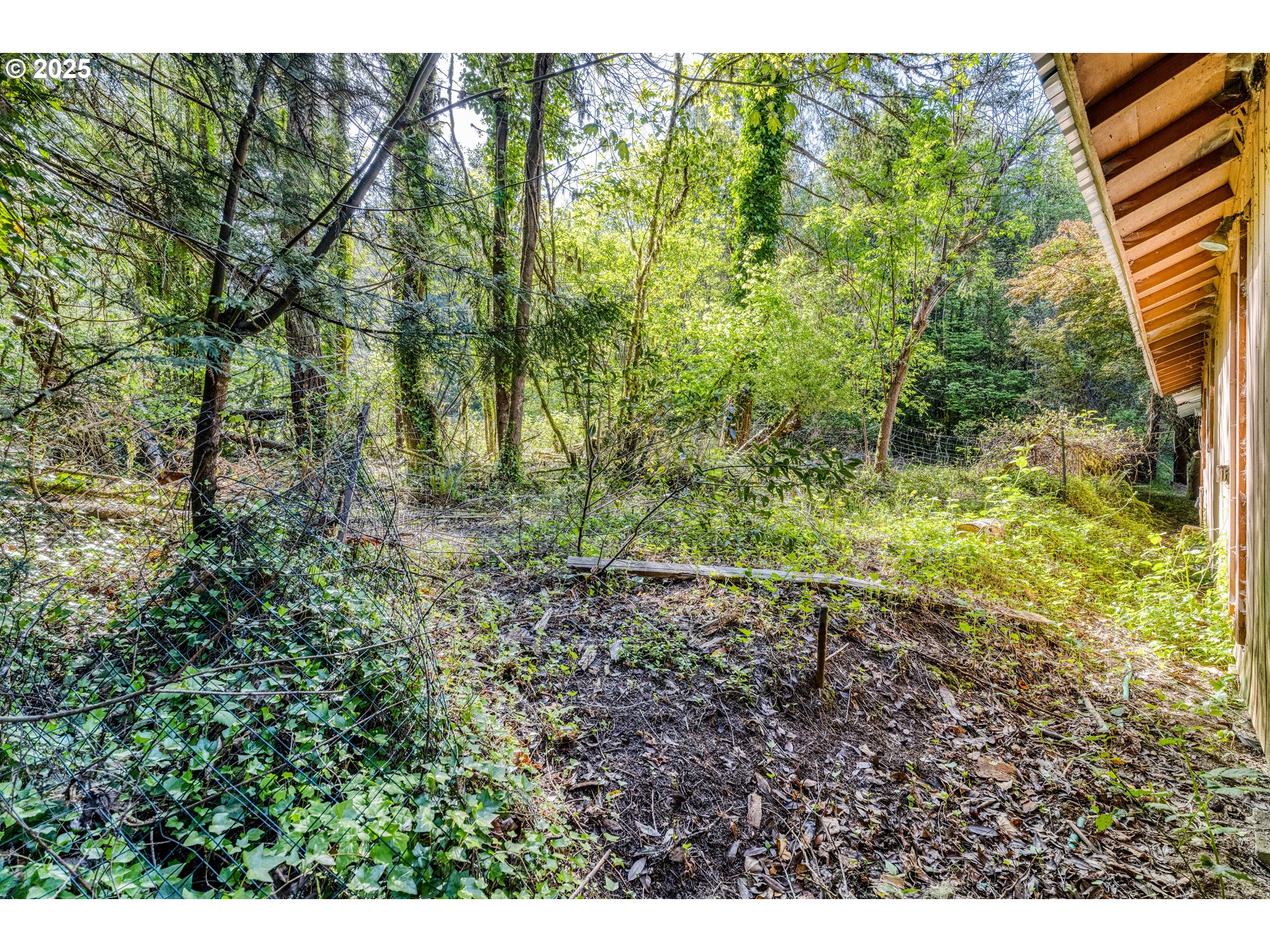 56010 Gold Brick Road Myrtle Point, OR 97458 - Photo 10 of 27 a view of outdoor space and trees