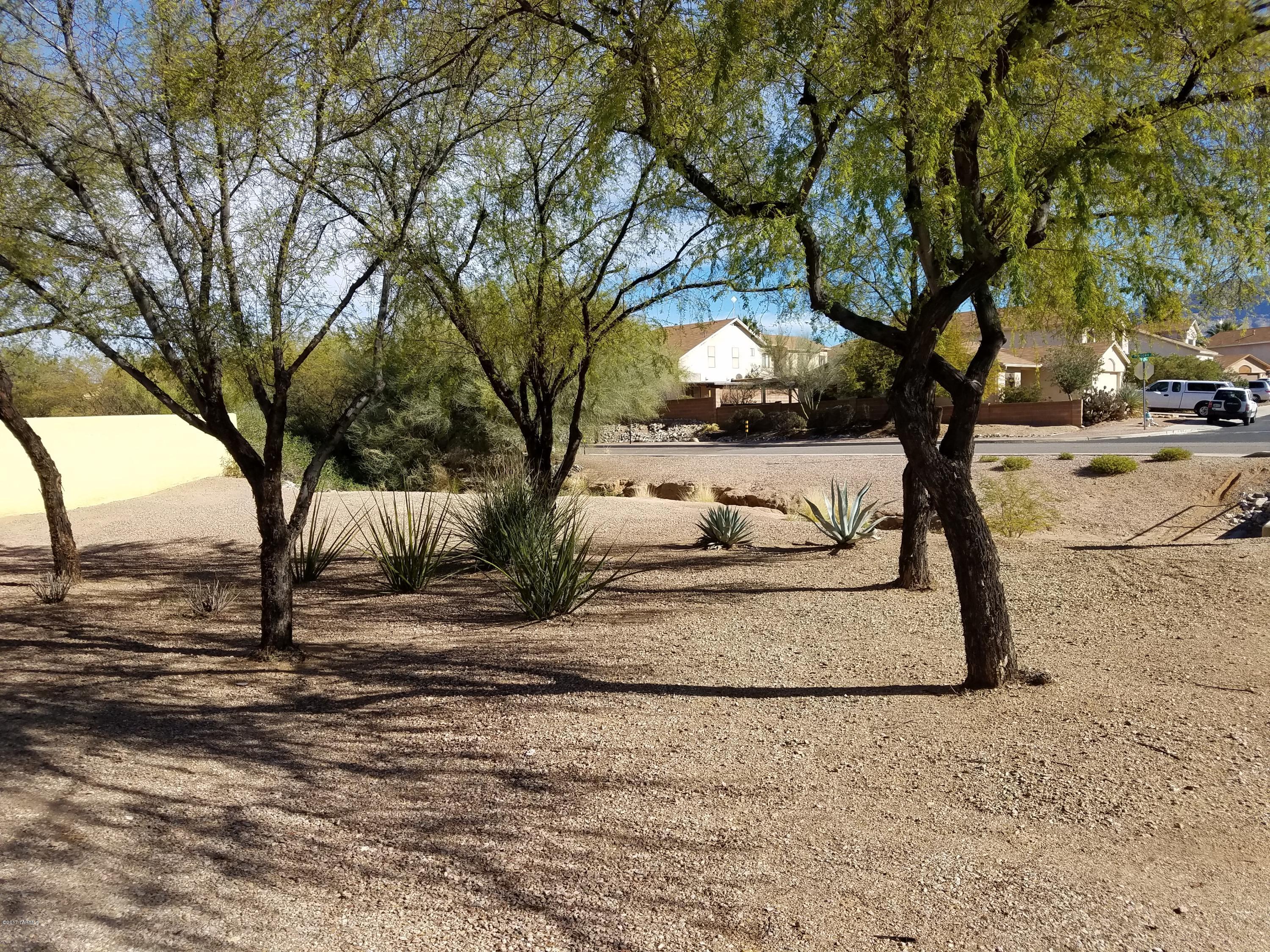 3140 West Treece Way Tucson, AZ 85742 - Photo 7 of 35
