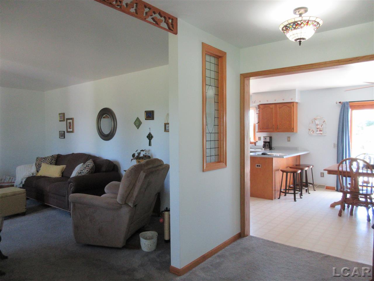 5235 Allen Road Tecumseh, MI 49286 - Photo 8 of 51