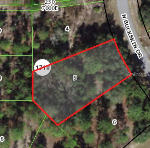 6664 North Buckskin Dr  