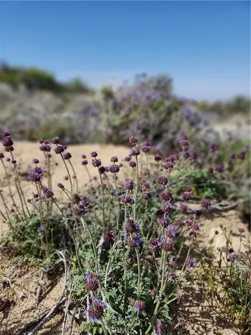 $99,000 | 1 Sun Ter Mountain Center, Mountain Center, CA 92561