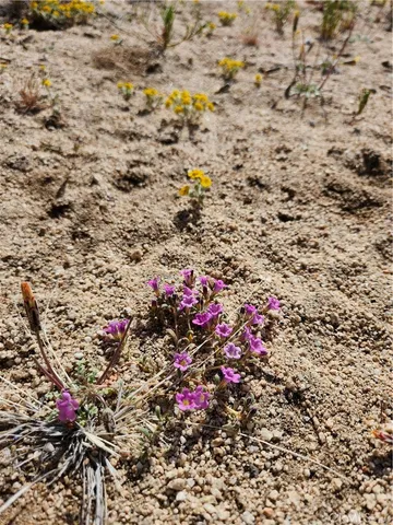 $99,000 | 1 Sun Ter Mountain Center, Mountain Center, CA 92561