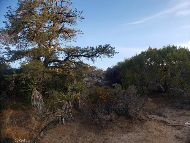 $99,000 | 1 Sun Ter Mountain Center, Mountain Center, CA 92561