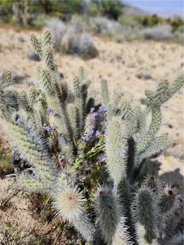 $99,000 | 1 Sun Ter Mountain Center, Mountain Center, CA 92561