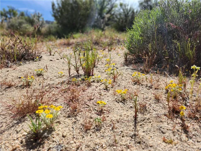 $99,000 | 1 Sun Ter Mountain Center, Mountain Center, CA 92561