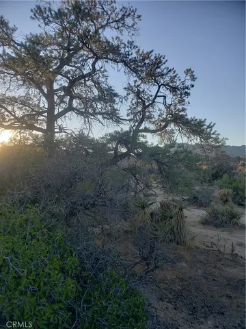 $99,000 | 1 Sun Ter Mountain Center, Mountain Center, CA 92561