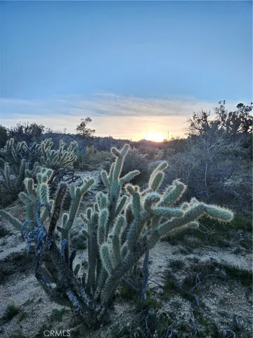 $99,000 | 1 Sun Ter Mountain Center, Mountain Center, CA 92561