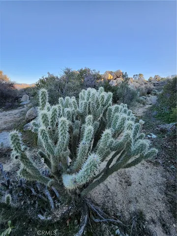 $99,000 | 1 Sun Ter Mountain Center, Mountain Center, CA 92561