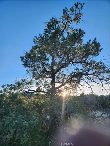 $99,000 | 1 Sun Ter Mountain Center, Mountain Center, CA 92561