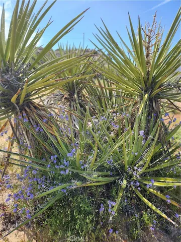 $99,000 | 1 Sun Ter Mountain Center, Mountain Center, CA 92561