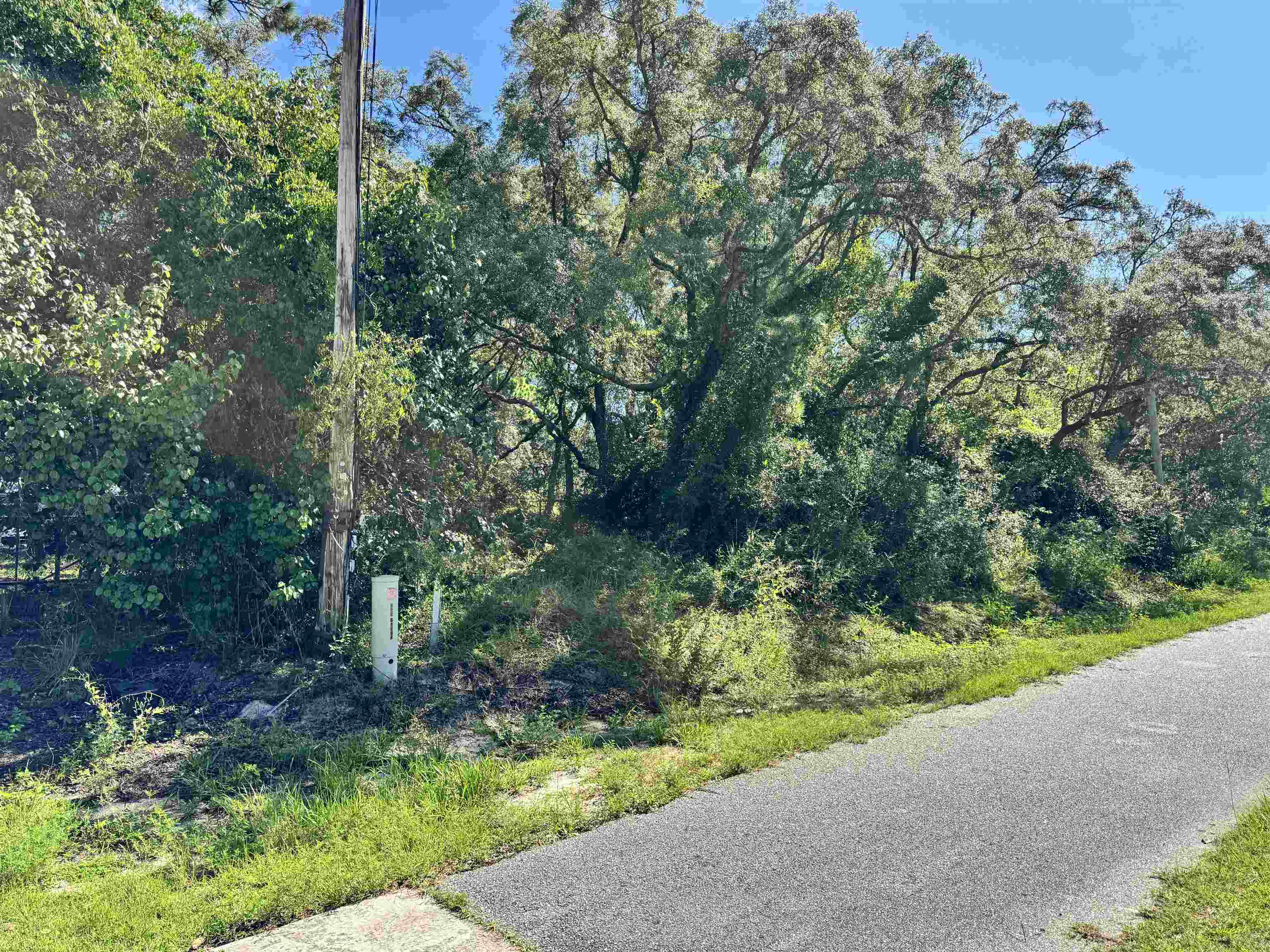 2740 Surf Road Panacea, FL 32346 - Photo 16 of 51 Gallery Image 16