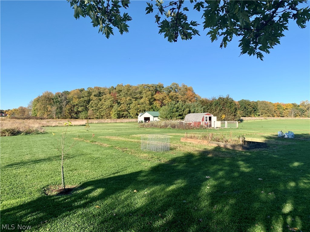 5829 Stuckey Road Creston, OH 44217 - Photo 9 of 33 Gallery Image 9