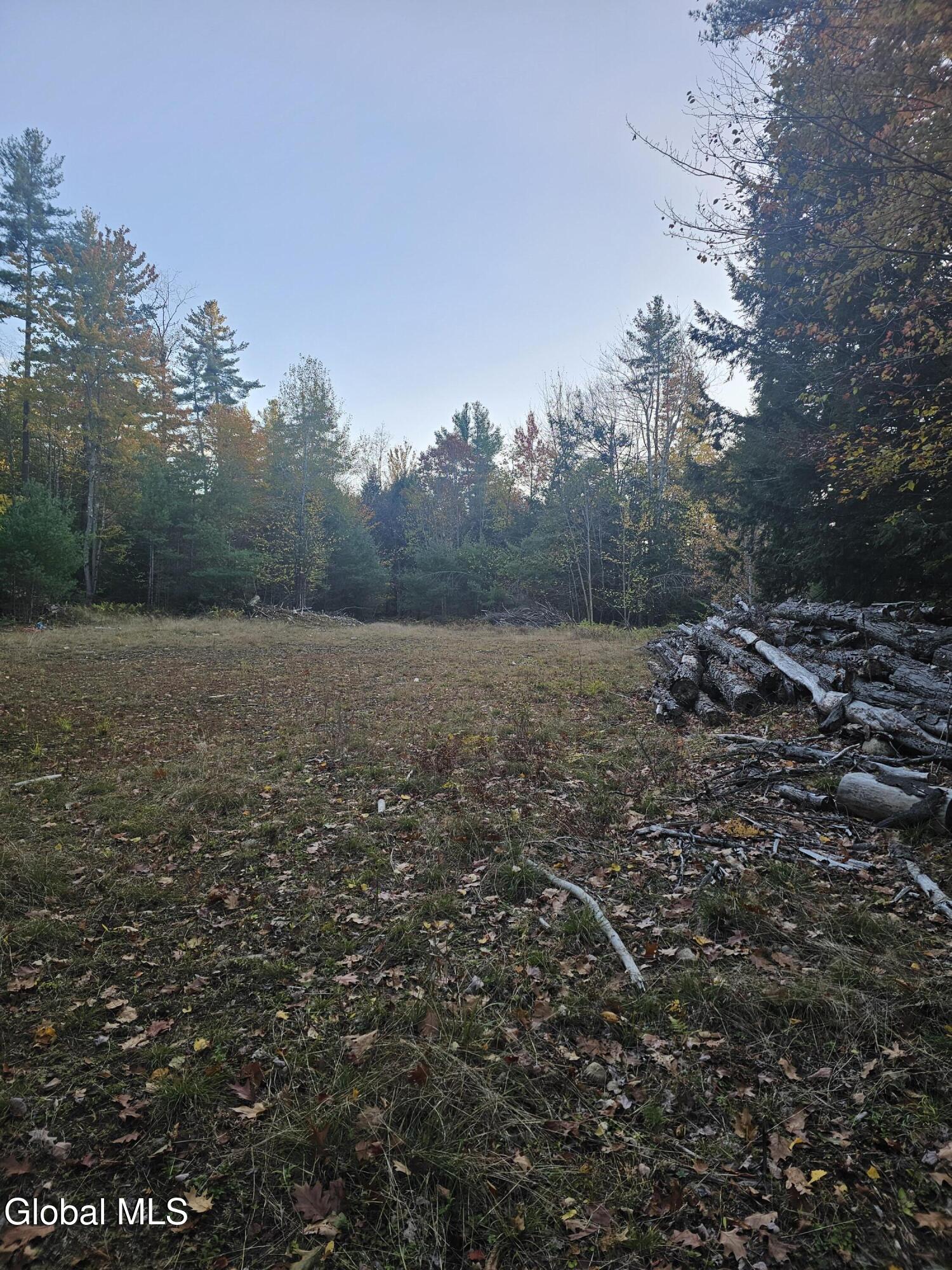 1 Military Road Edinburg, NY 12134 - Photo 3 of 3 clearing