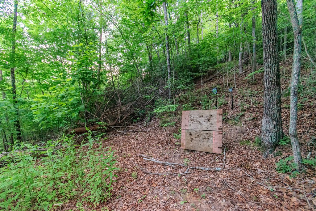 83 Carey Lane Blue Ridge, GA 30513 - Photo 69 of 73 Gallery Image 69