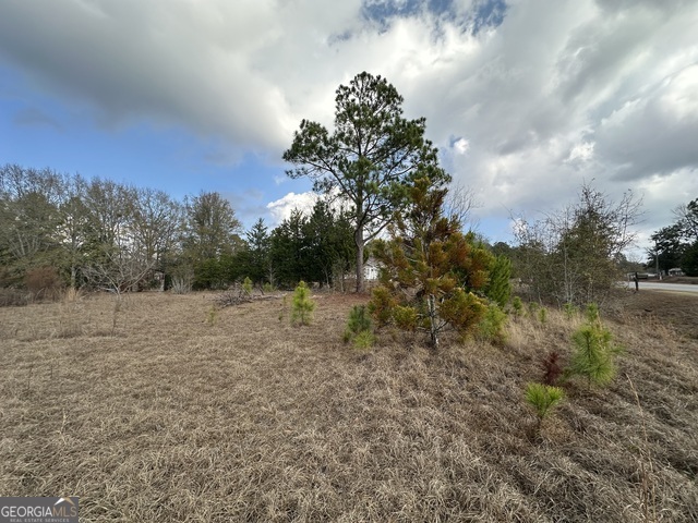 74 Community Church Road McRae-Helena, GA 31037 - Photo 26 of 31 a view of a yard with a tree