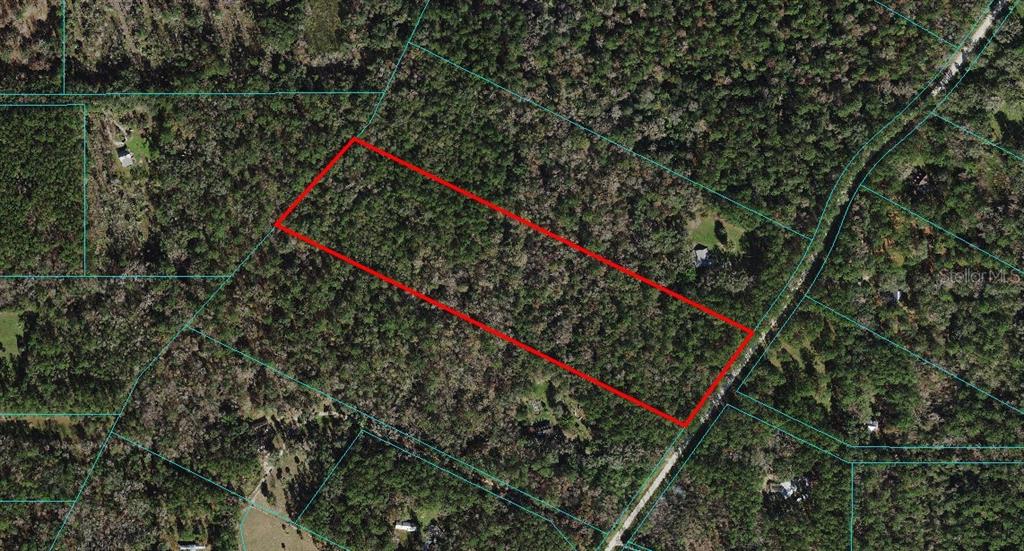 Tbd Northwest 75th Avenue Road Micanopy, FL 32667 - Photo 1 of 1 a view of a wooden bridge
