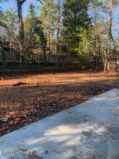 580 Burning Tree Road Pinehurst, NC 28374 - Photo 29 of 30 580 Burning Tree 28