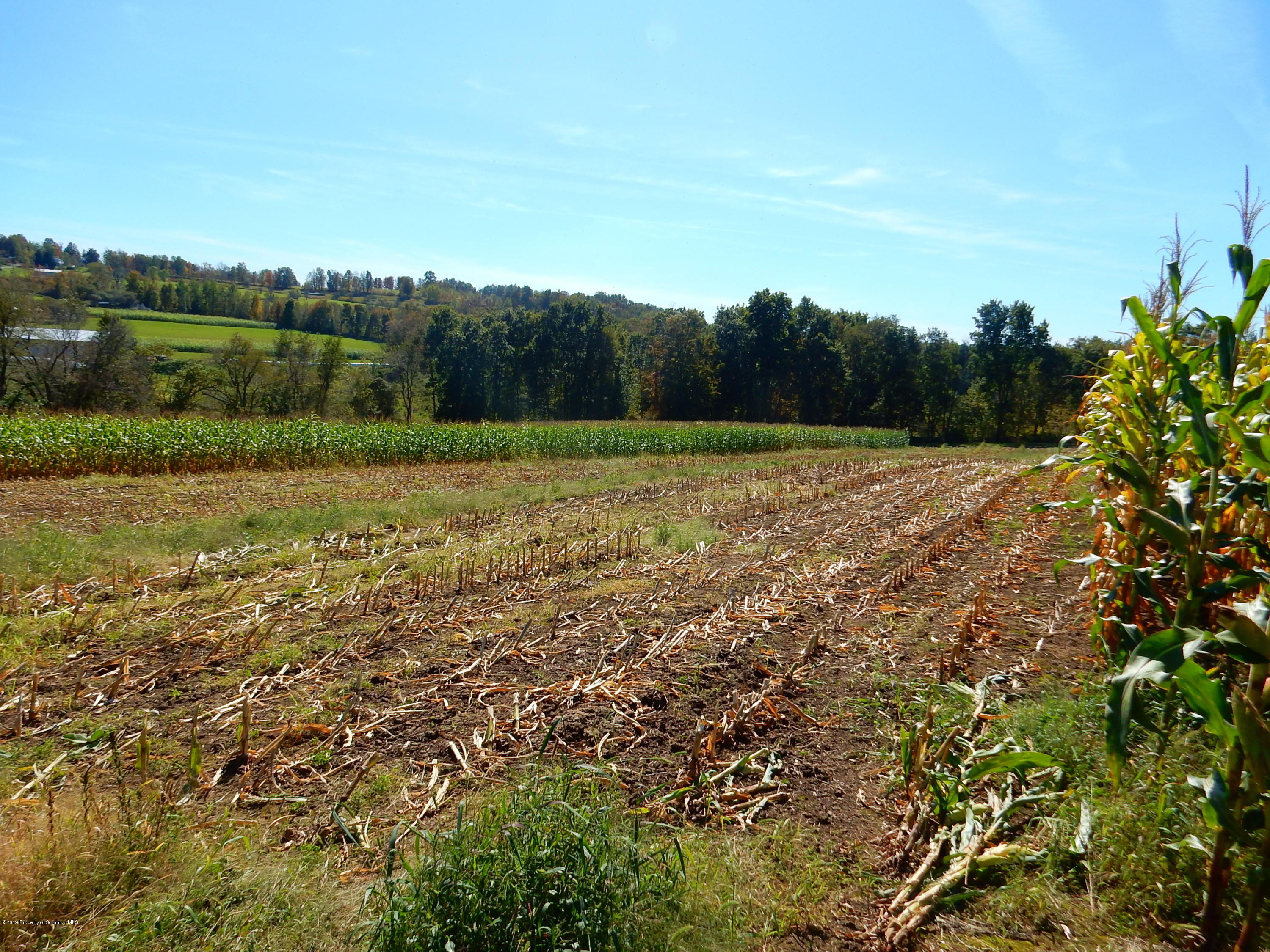 Lot 1 Matechak Road Jermyn, PA 18433 - Photo 3 of 6 DSCN5699