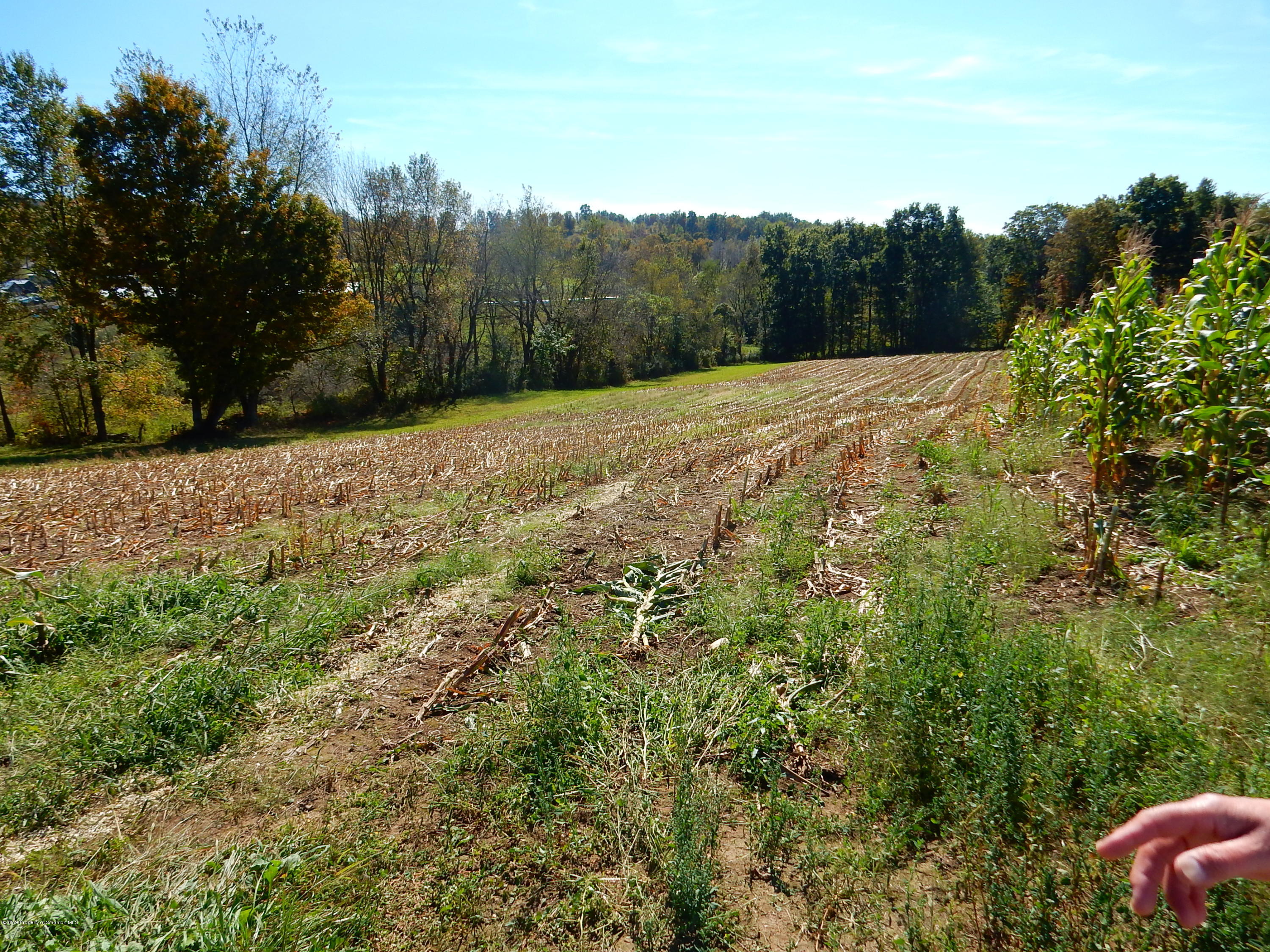 Lot 1 Matechak Road Jermyn, PA 18433 - Photo 4 of 6 DSCN5700
