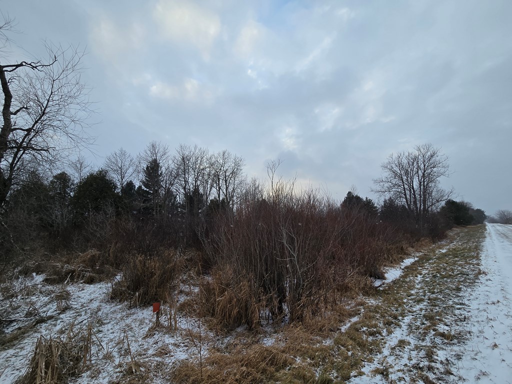 Carnot Road Forestville, WI 54213 - Photo 7 of 7